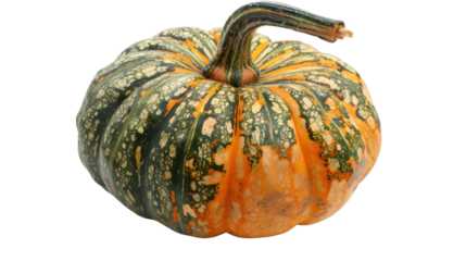 Pumpkin on transparent background