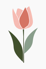 Minimalist pink tulip illustration