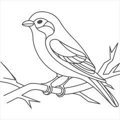Obraz premium a beautiful bird outline vectors 