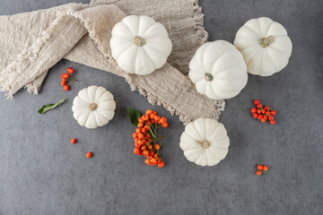 Small white pumpkins Baby boo with fresh pyracantha berries on linen napkin and grey stone table background.