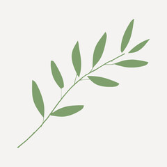 Minimalist green leaf illustration