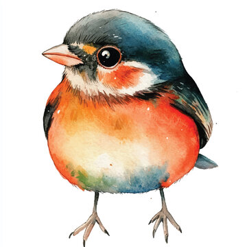 recommend clip art: cute Finchling watercolor clipart illustration isolated