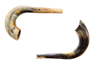 Shofar frame on white background. Rosh Hashanah holiday concept. Top view
