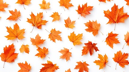 Vibrant Autumn Leaves in Shades of Orange Creating a Warm Seasonal Atmosphere