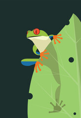 Tree frog sits on a leaf on a dark background, stylized image, vector