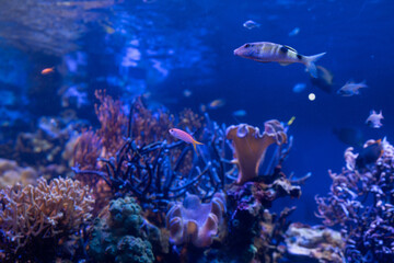 水族館