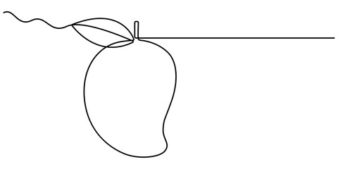 Continuous one line drawing of mango fruit with leaf. Mango fruit hand drawn single line art vector illustration, Continuous line drawing mango fruit. Healthy food natural organic concept.