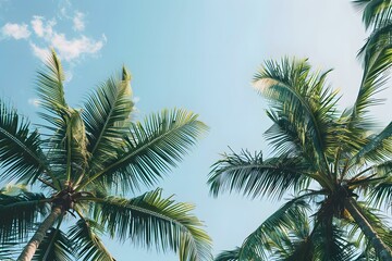 Naklejka premium Palm Trees and Blue Sky Tropical Background