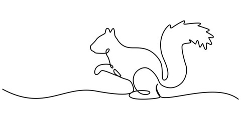 Continuous one line drawing of a squirrel. Simple vector illustration, One Continuous line art drawing of squirrel vector illustration, squirrel drawing by one continuous line, sketch, One Continuous