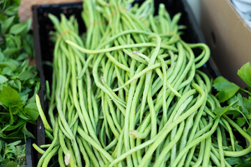 Long green asian beans, offered on a market. Healthy food, vegetable, raw food.