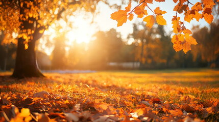 “Orange fall leaves in a park, illuminated by warm sunlight, creating a vibrant and serene autumn natural background.”