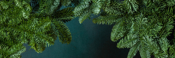 Fir branches close-up on a green background, Christmas banner, copy space