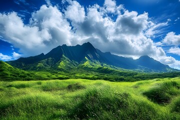 Obraz premium Lush Green Grass Field with Mountain Background and Blue Sky