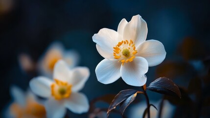 Fototapeta premium A group of white flowers sits atop a lush, green forest, blanketed in countless leaves