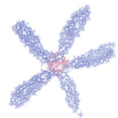 Purple glitter flower