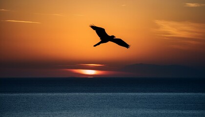 Fototapeta premium 地平線の夕陽と鳥のシルエット