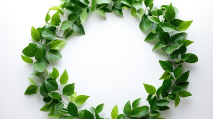 Fototapeta premium A dark, elegant background featuring green leaves that outline the borders of the frame, leaving a crisp white space in the middle.