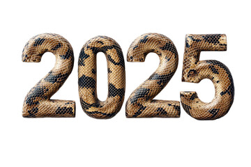 Obraz premium number 2025 on transparent background, made of snake skin texture. new year celebration concept