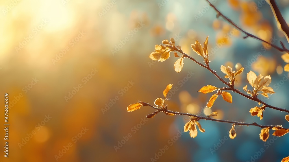 Wall mural  A branch bearing yellow leaves against a hazy blue backdrop of sky and nearby trees in the foreground