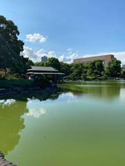 Fototapeta premium lake and forest