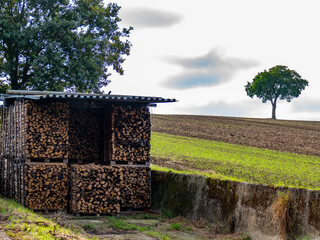 Gestapeltes Brennholz im Freien © focus finder