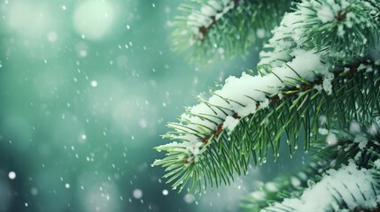 Close-up photo of snowflakes