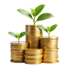 Isolated gold coins stack and plant grows