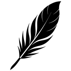 Obraz premium Stylized feather illustration in black for nature and freedom concept
