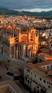 vertical video aerial view of cathedral of Palma de Mallorca, Palma de Mallorca cityscape. Cathedral of Santa Maria, Royal Palace of La Almudaina. Balearic Islands. Spain