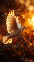 A majestic white dove soars through the sky against a vibrant sunset.