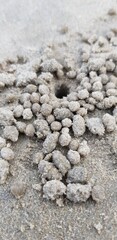Spherical sand clusters at the beach