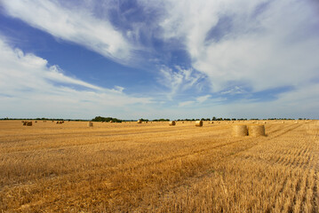 Straw bales in a field after the harvest after a thunderstorm. Cloudy sky