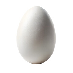Smooth White Egg - Standing Upright on White Background