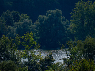 Waldsee