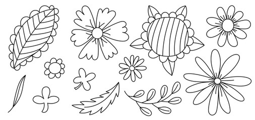 Flower and leaf. Doodle sketch floral set. Vector illustration. Outline drawings