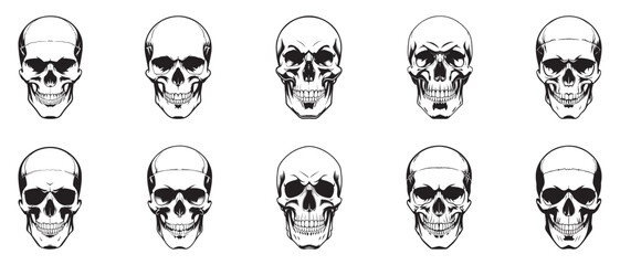 Set of human skull illustrations on a white background. Anatomical Skulls Vector Set.