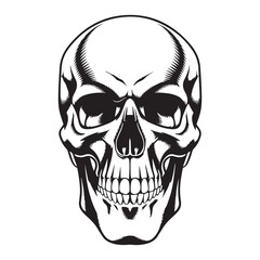 Human head skull vector, icon, illustration