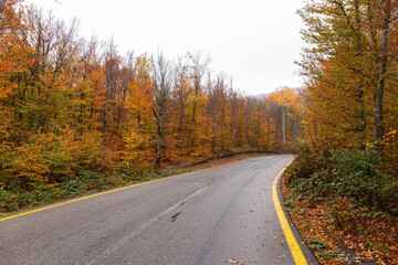 Asphalt road in the autumn forest.