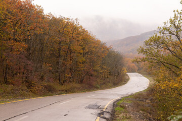 Asphalt road in the autumn forest.