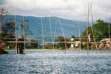 Nature thrives in the rhythm of patience