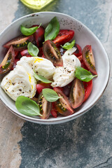 Bowl of caprese with heirloom tomatoes and torn buffalo mozzarella, vertical shot on a grey and beige granite surface, middle close-up
