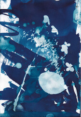 Cyanotype blueprint abstract with hydrangea from my garden