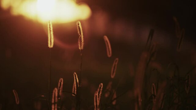 beatiful nature