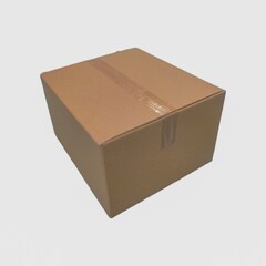 Closed shipping cardboard box isolated on white background