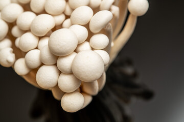 Fresh Enoki Mushrooms with Delicate Texture – Ideal for Culinary Use in Asian Dishes and Garnishes