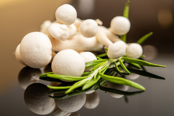 Fresh Enoki and White Mushrooms Displayed with Rosemary on a Reflective Surface in Gourmet Cuisine Style