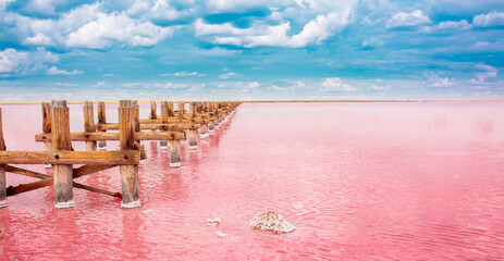 The pink lake is a beautiful landscape, unusual nature. A unique rare natural phenomenon. Salt lake...