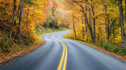 Fototapeta premium A scenic drive through the mountains with trees in full fall colors lining the road.