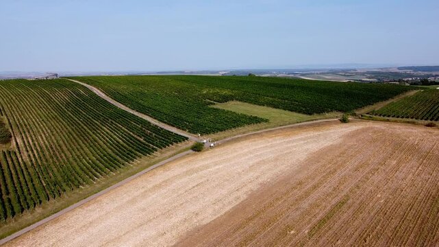 vineyard ariel shot