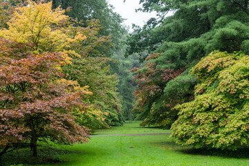 path in the woods